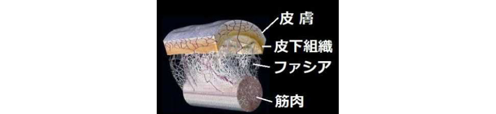 平野鍼灸院　三郷市成彦