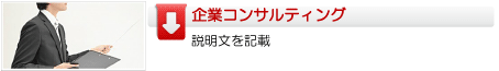 共育社　企業コンサルティング