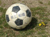 千葉県、船橋市、県立、船橋高校、千葉県サッカー協会所属
