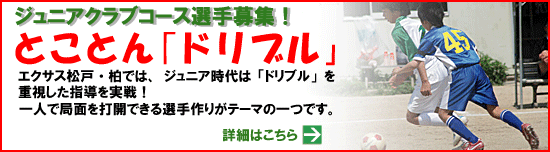 サンプルバナー