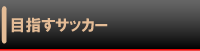 市川ＭＦＣフォックス　クラブ紹介