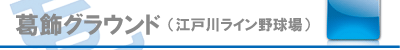 新宿シニア　練習場所　葛飾グランド