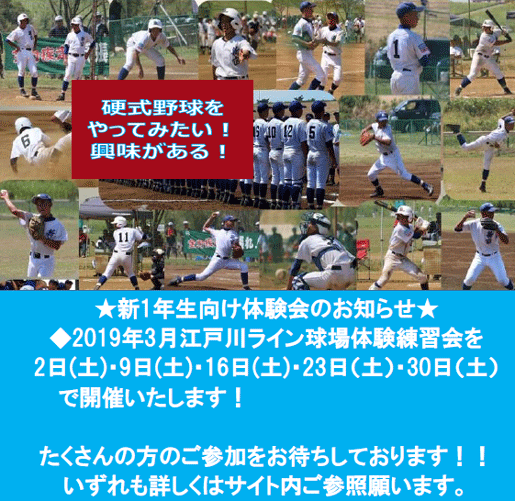 新宿リトルシニア トピックス