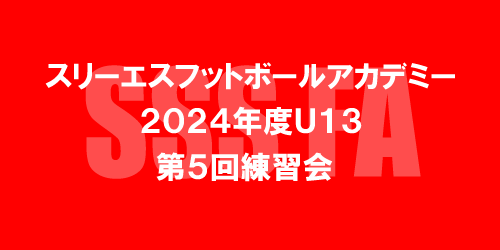 スリーエスフットボールアカデミー