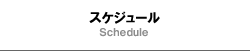 千葉県立船橋高等学校野球部　スケジュール